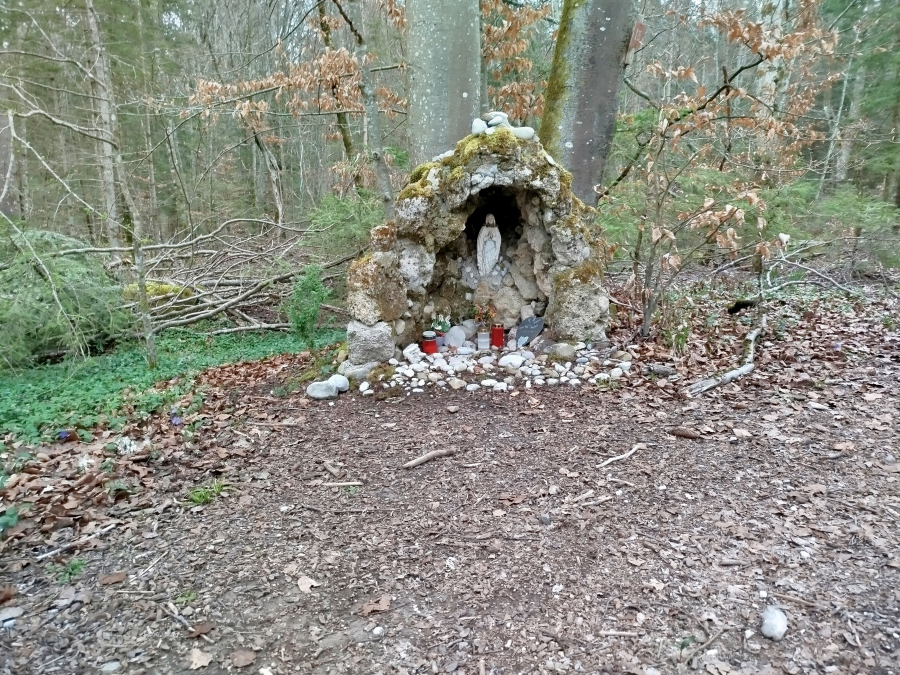 Südl. Deisenhofener Forst, bei St. Anna